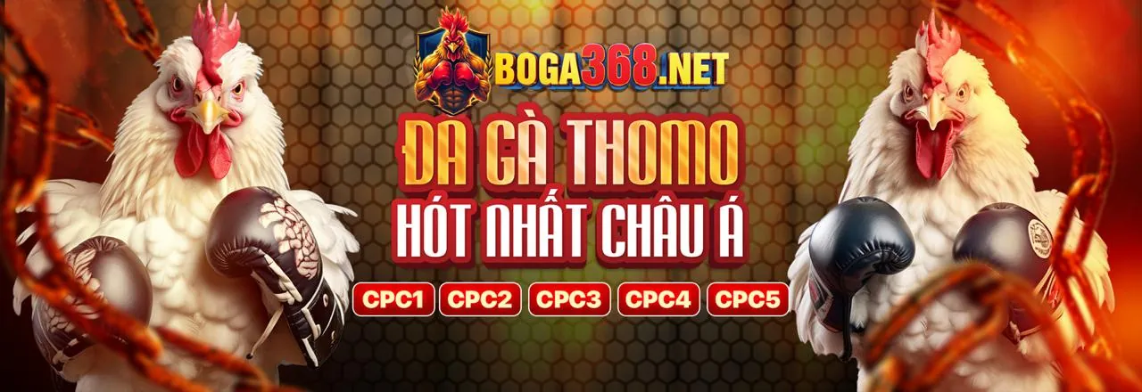 Chương trình VIP QQ888